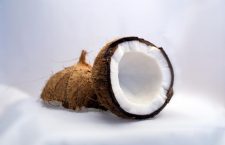 Coconut, interior view
